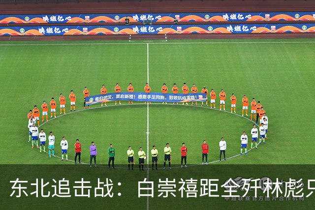 东北追击战：白崇禧距全歼林彪只差一道命令，历史差点被改写！