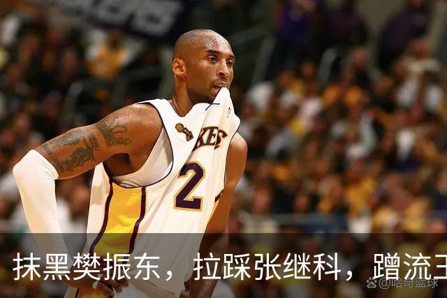 抹黑樊振东，拉踩张继科，蹭流王楚钦，原来他才是国乒“搅屎棍”