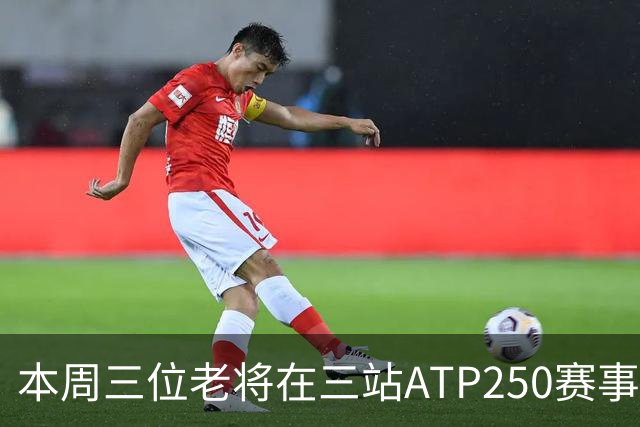 本周三位老将在三站ATP250赛事走完网球征途