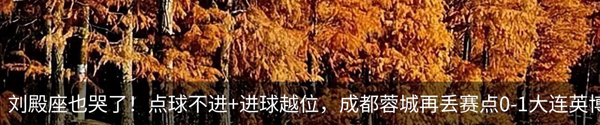 资讯中心