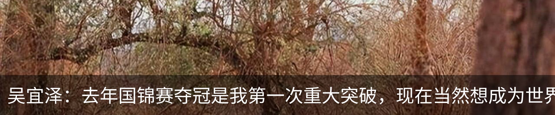 资讯中心