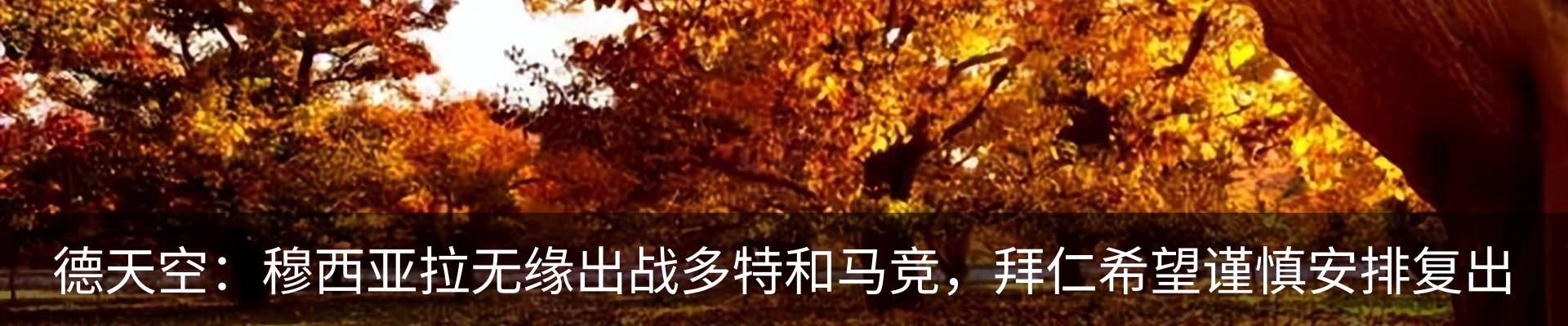 资讯中心