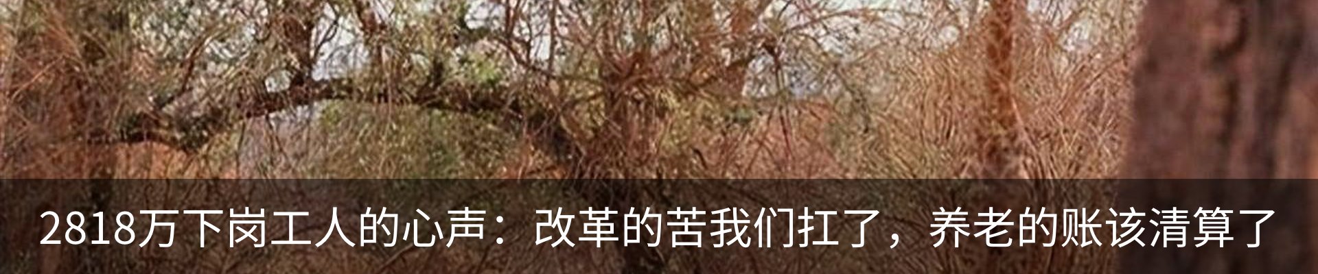 资讯中心
