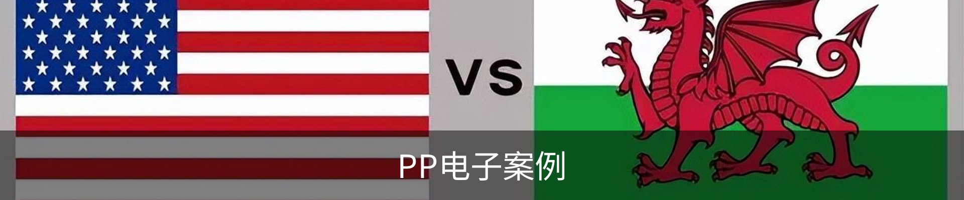 PP电子案例